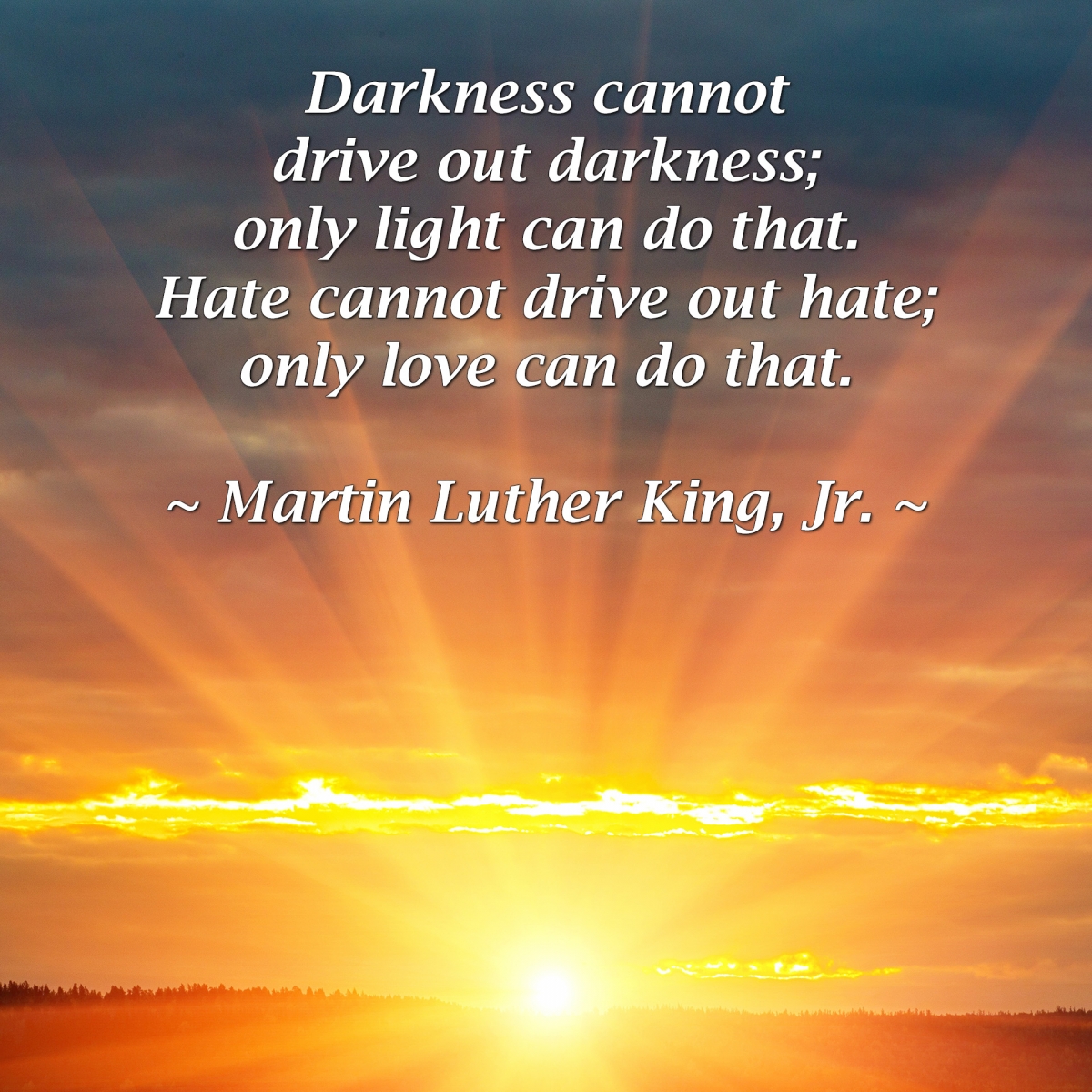 "Darkness cannot drive out darkness; only light can do that. Hate