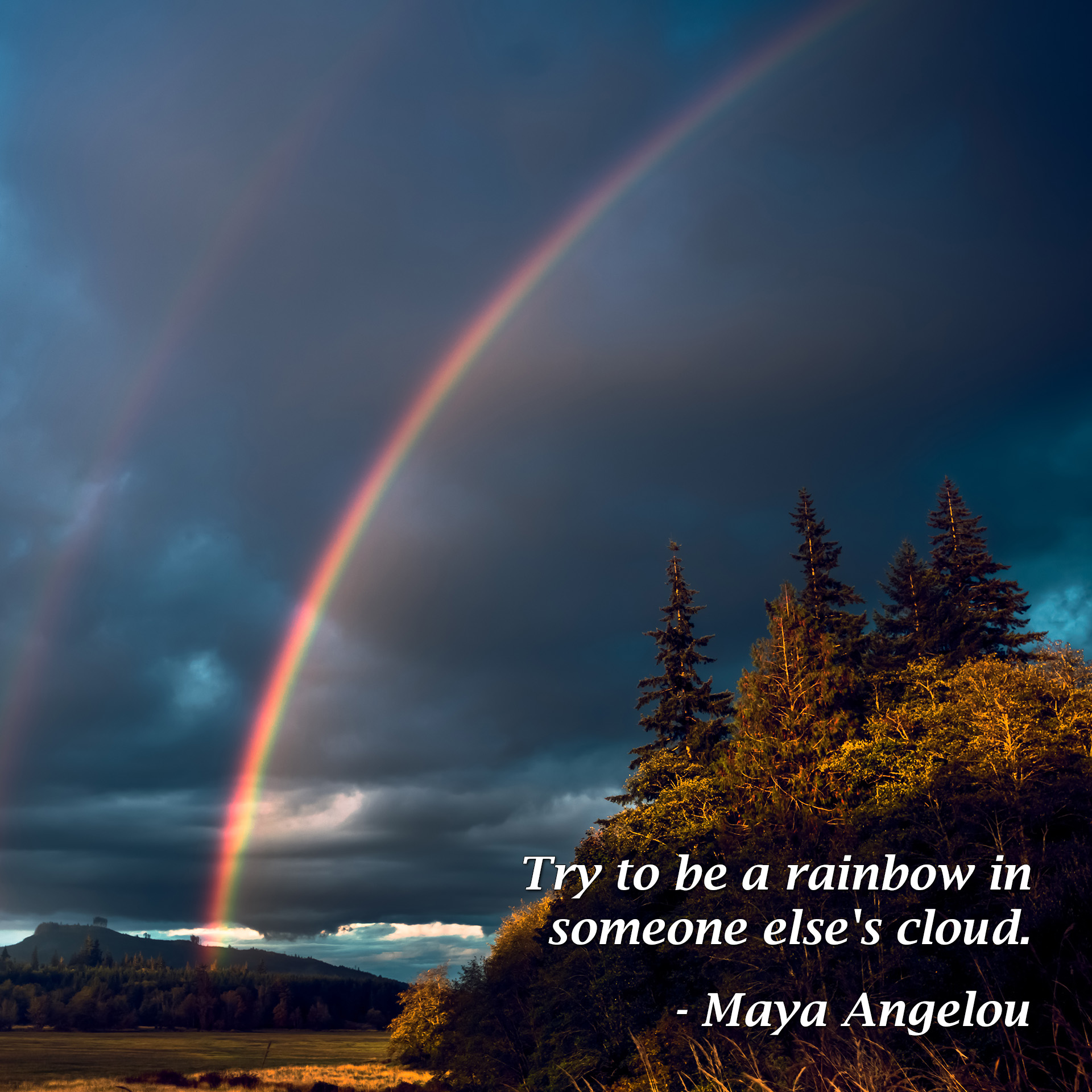 Try to be a rainbow in someone else's cloud. - Maya Angelou