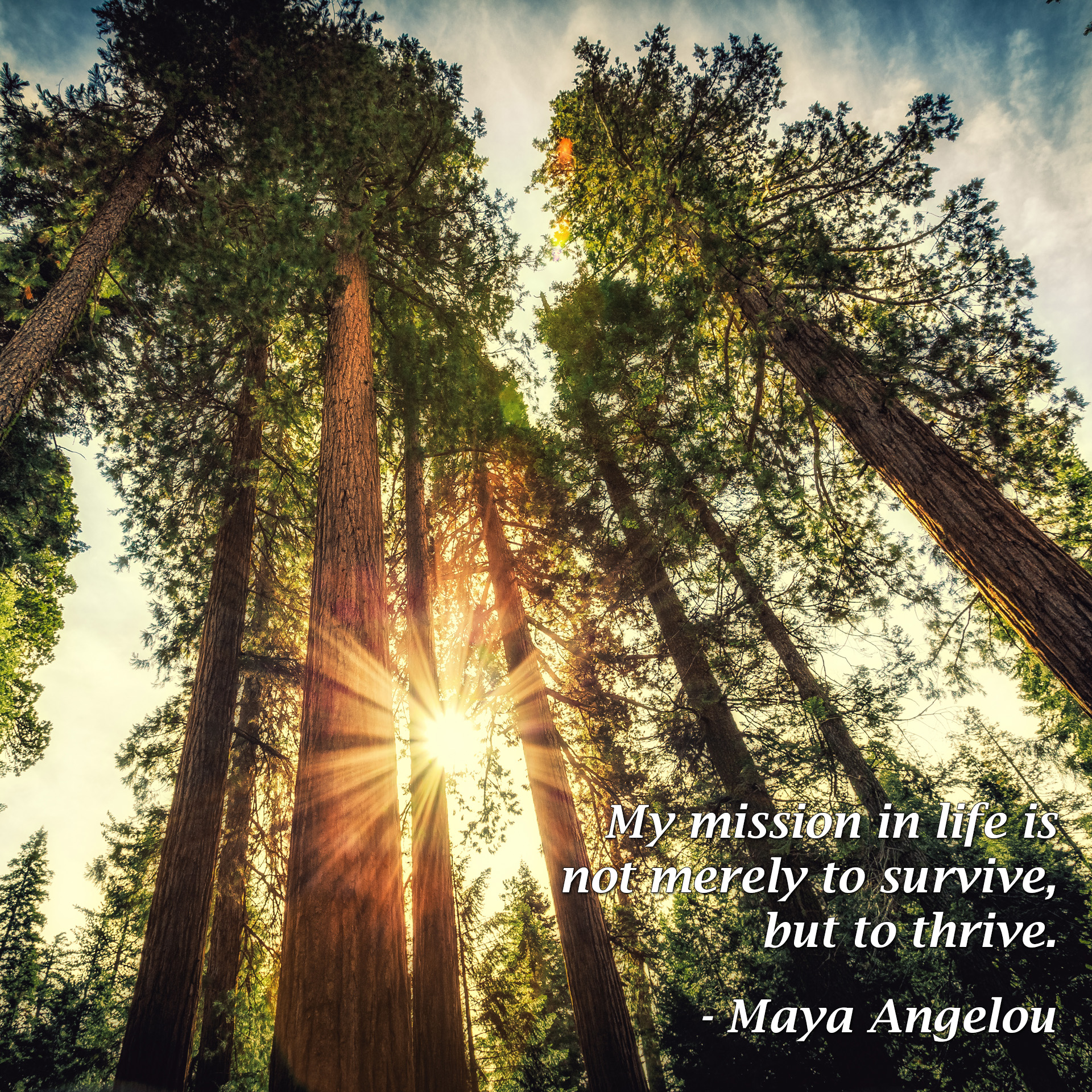 My mission in life is not merely to survive, but to thrive. - Maya Angelou